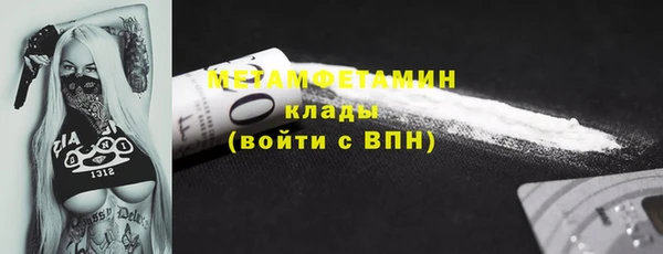 твердый Долгопрудный
