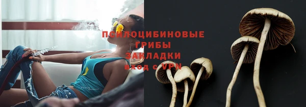 бошки Медногорск
