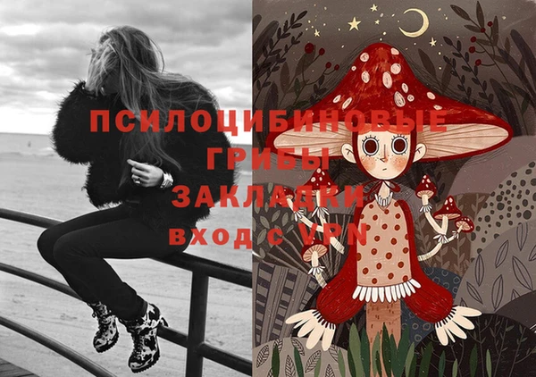 метадон Мегион