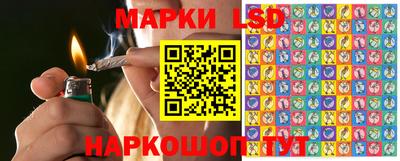 apvp Кунгур