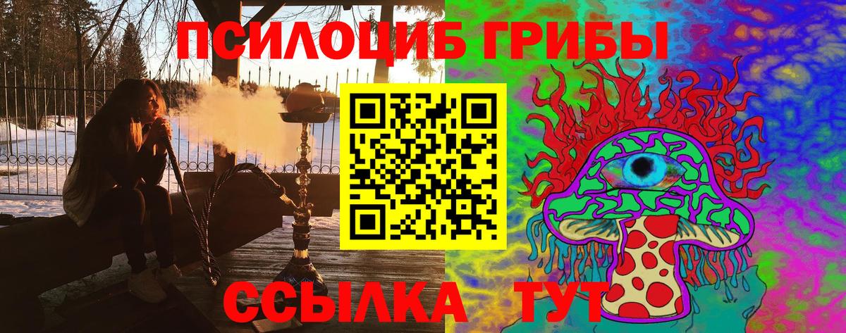 Галлюциногенные грибы GOLDEN TEACHER  Псилоцибиновые грибы мицелий  Вход с VPN  Тулун 