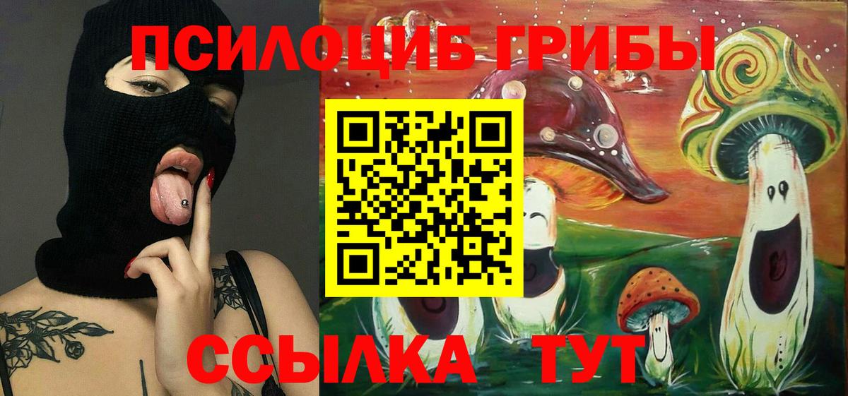 Галлюциногенные грибы Cubensis  Галлюциногенные грибы MAGIC MUSHROOMS  Тулун 